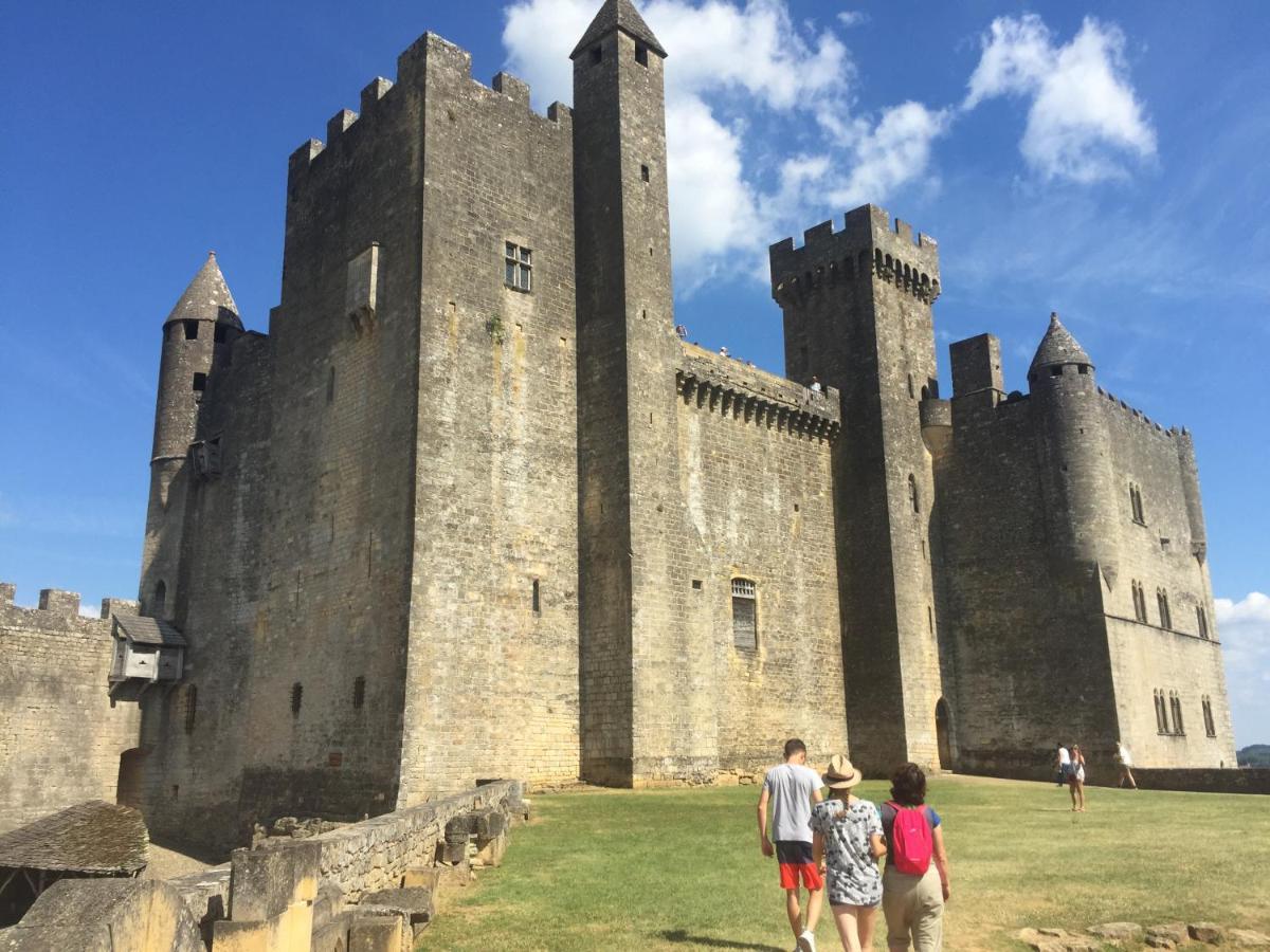 Au Coeur De Beynac, Une Maison De Caractere Avec Jardin Terrasse Buitenkant foto